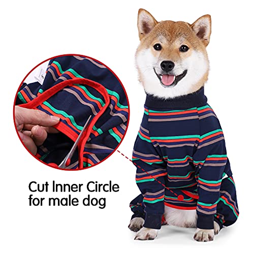 Blue Dog Recovery Suit for Abdominal Wound Surgery