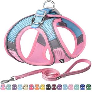 AIITLE Adjustable No Pull Dog Harness & Leash