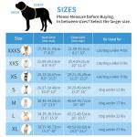 AIITLE Adjustable No Pull Dog Harness & Leash