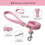 AIITLE Adjustable No Pull Dog Harness & Leash