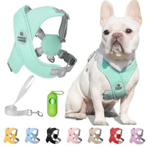 Patas Lague Reflective Dog Harness with Leash, Green