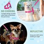 Reflective Small Dog Harness & Leash Set, Adjustable
