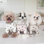 Embroidered Bear Waffle Home Vest for Dogs
