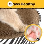 Conlun Oval Cat Scratcher Bed and Lounge