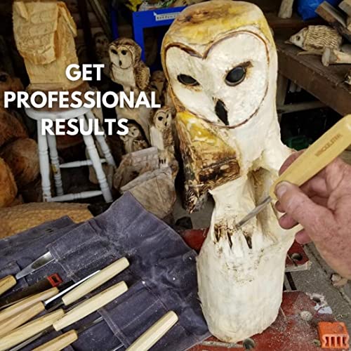 12pc Wood Carving Tool Set