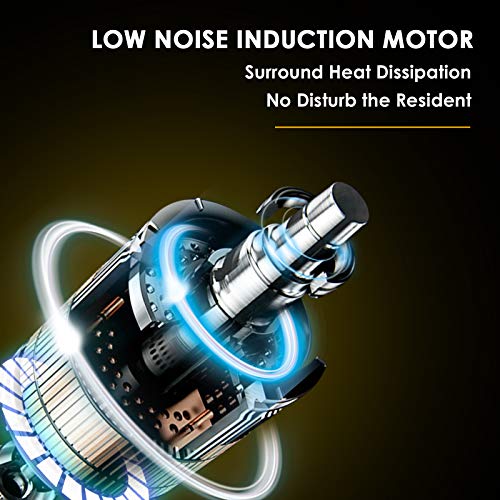 4.3A 3/4HP Sander w/Steel Table