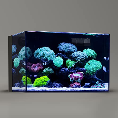 Rimless 26-Gallon Ultra Clear Aquarium Tank