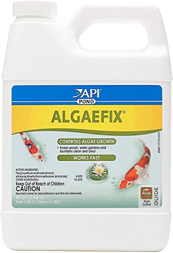API POND ALGAEFIX Algae Control Solution 32-Ounce Bottle