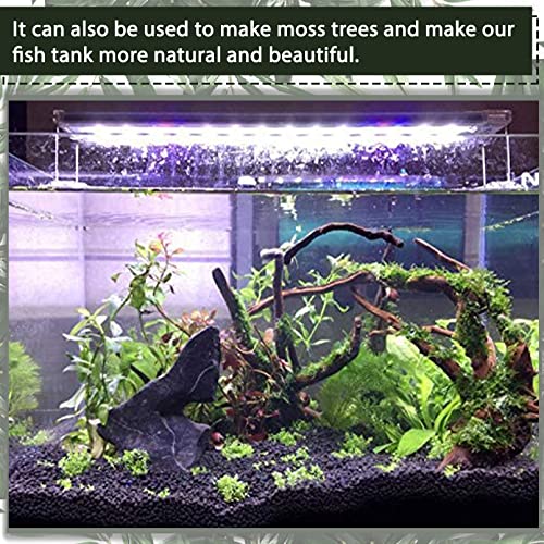 Large Natural Driftwood Aquarium/Fish Tank Decor