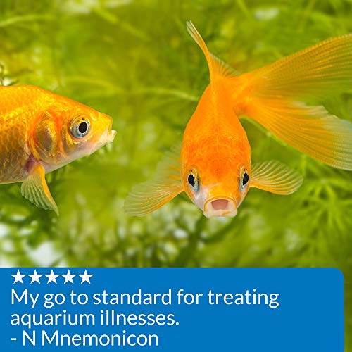 16oz API PIMAFIX Antifungal Fish Remedy