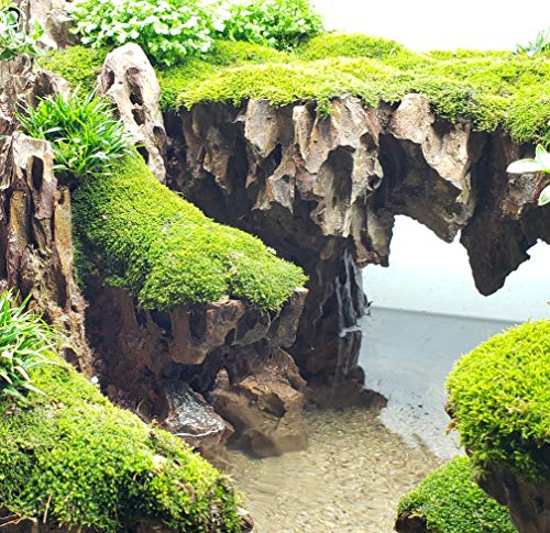 Aquascaping Dragon Ohko Rock Kit – Aquatic Decor