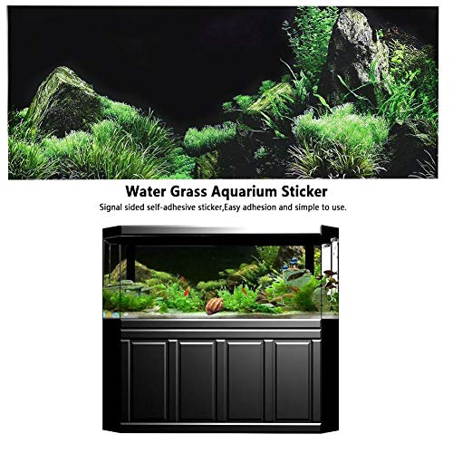 Seafloor Aquarium Wallpaper Sticker Decoration