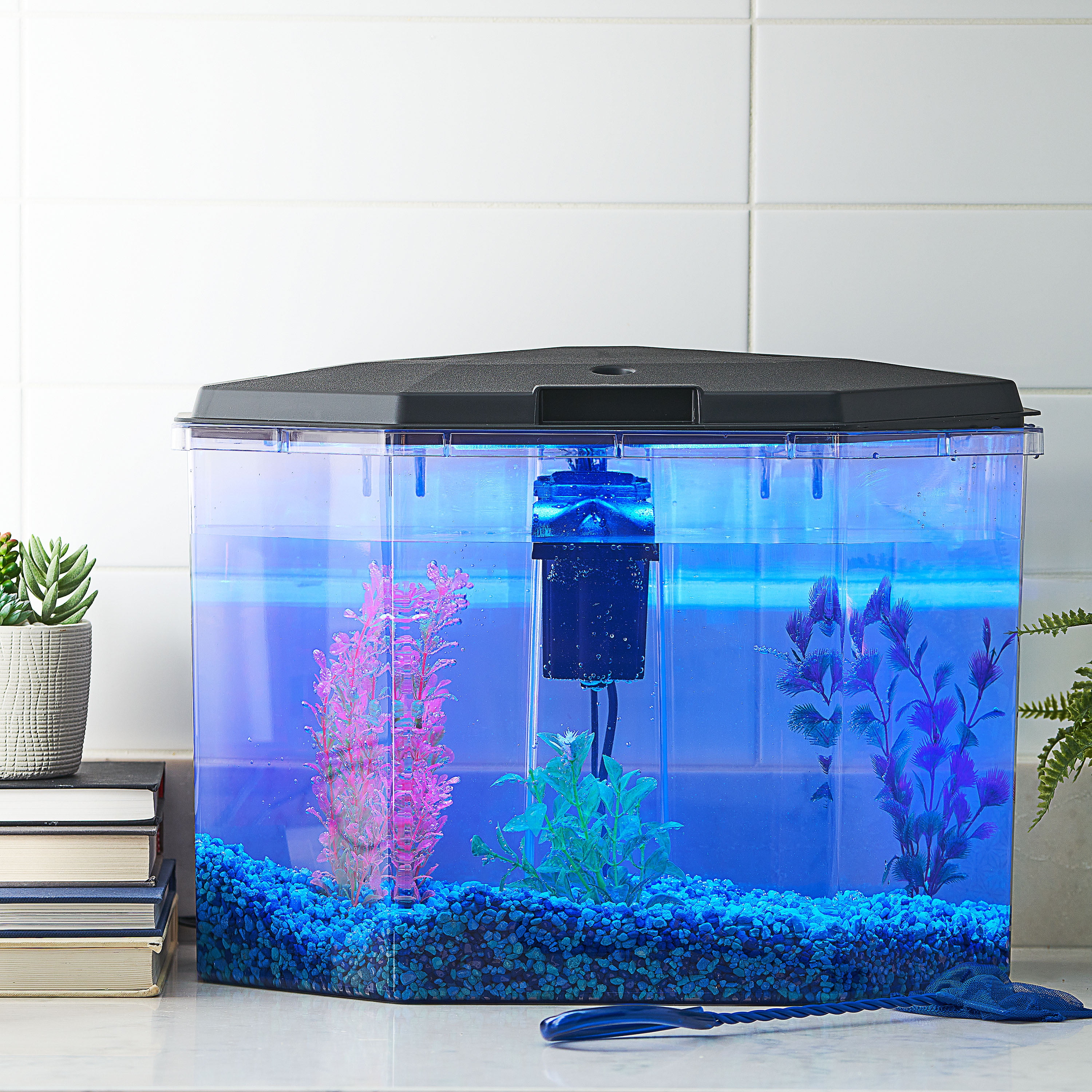 6.5-Gallon Semi-Hex Aquarium Kit with LED Lighting