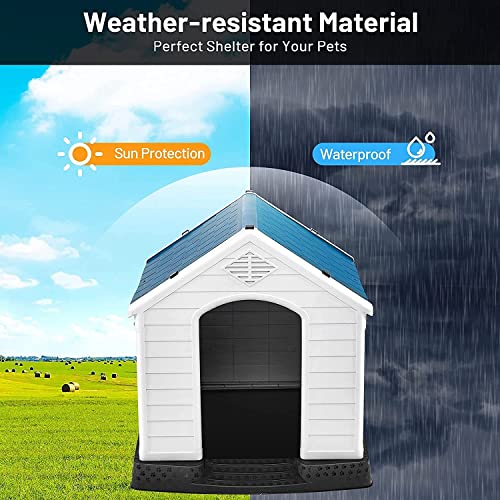 Small White Lanco Dog House