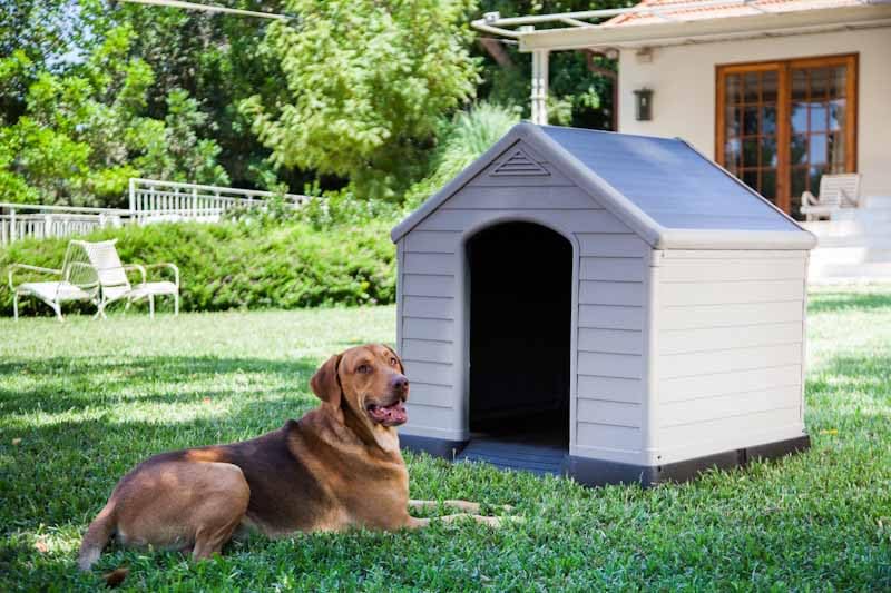 Dog Kennel Chalet-Jardin Garden PVC/Resin Beige/Brown 95x99x99cm