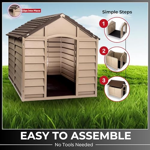 Alexander Plastic Dog Kennel - Indoor/Outdoor Shelter - Durable