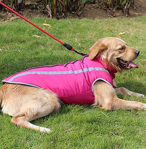 Idepet Waterproof Winter Dog Coat for Small - 6XL