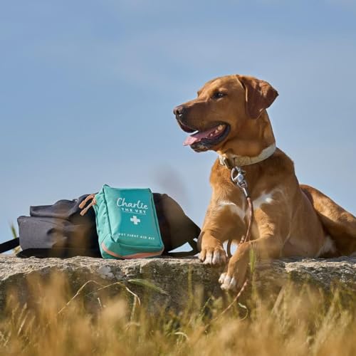 Vet Approved Dog First Aid Kit - Premium Supplies