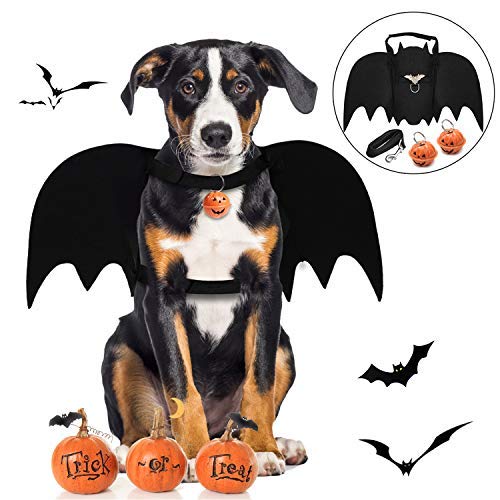 Legendog Halloween Bat Dog Costume for Dogs
