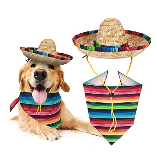 Cinco De Mayo Dog Costume Set - Serape, Sombrero & Bandana