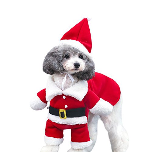 Christmas Pet Costume with Santa Claus Hat - Red, Large