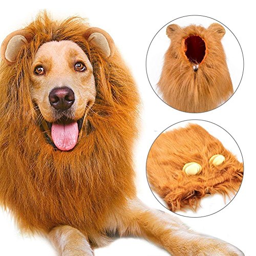 Lion Wig Costume for Dogs, Fancy Lion Hair