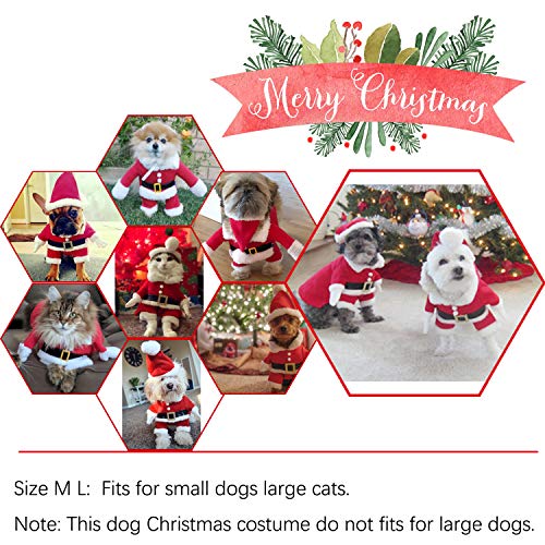 Christmas Pet Costume with Santa Claus Hat - Red, Large