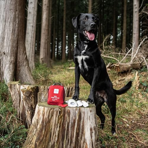 Compact Mountain Paws Dog First Aid Kit - Easy Carry
