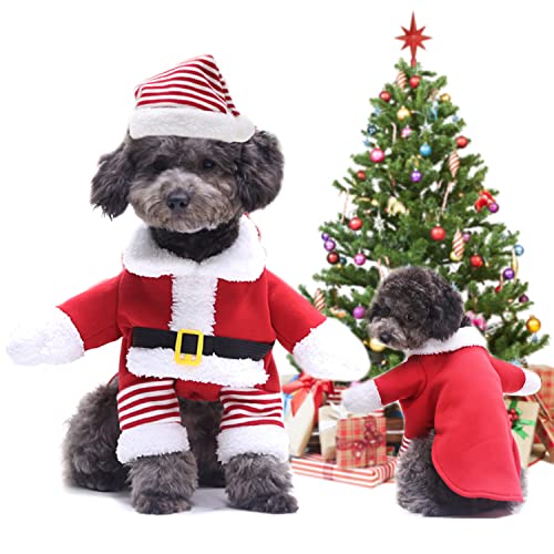 Dog Christmas Outfit with Santa Hat - XS