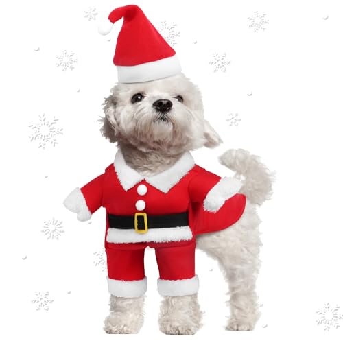 Christmas Costume for Dogs and Cats
