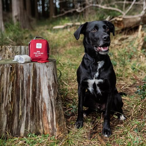 Compact Mountain Paws Dog First Aid Kit - Easy Carry