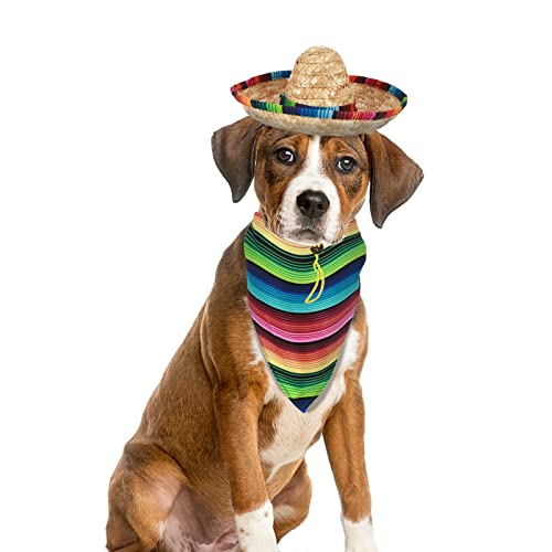 Cinco De Mayo Dog Costume Set - Serape, Sombrero & Bandana