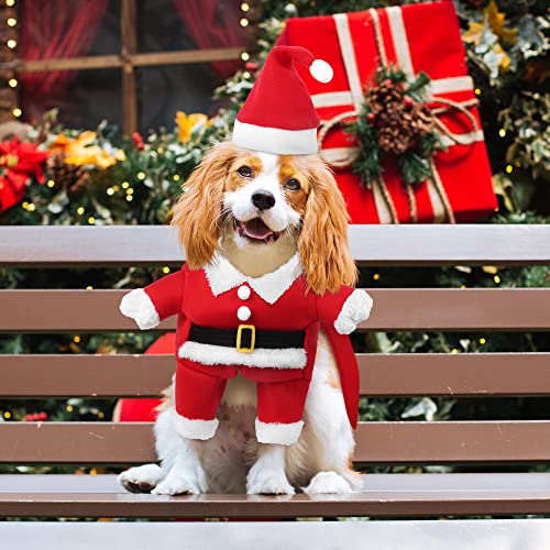 Christmas Costume for Dogs and Cats