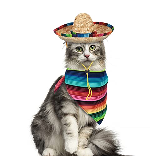Cinco De Mayo Dog Costume Set - Serape, Sombrero & Bandana