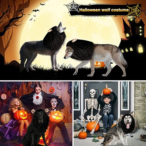 Adjustable Black Lion Mane Dog Costume - Halloween