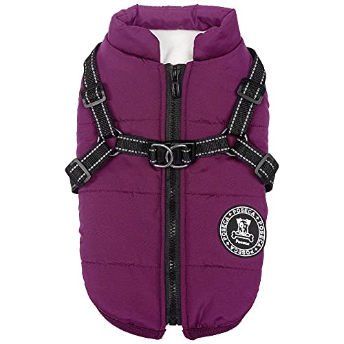 Waterproof Dog Winter Jacket with Harness for Small Dogs