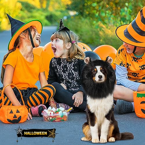 Adjustable Black Lion Mane Dog Costume - Halloween