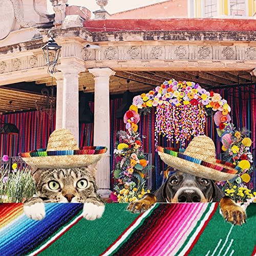 Cinco De Mayo Dog Costume Set - Serape, Sombrero & Bandana