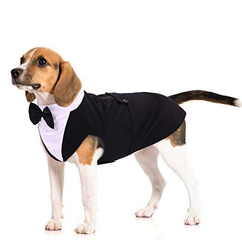 Black Dog Tuxedo Suit - Formal Wedding Apparel