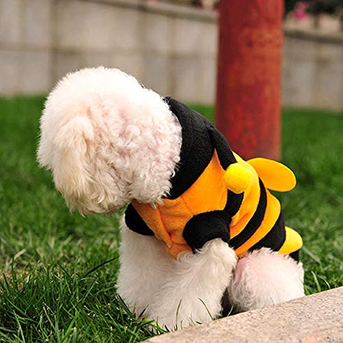 Small Bumble Bee Halloween Costume for Dogs