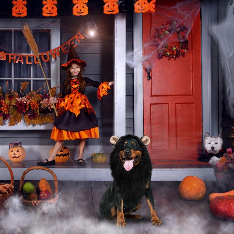Adjustable Black Lion Mane Dog Costume - Halloween