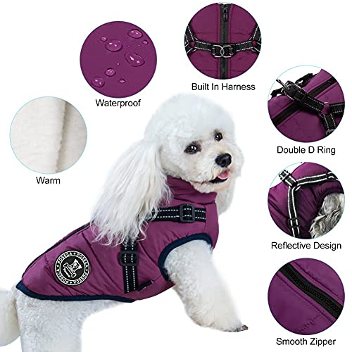 Waterproof Dog Winter Jacket with Harness for Small Dogs