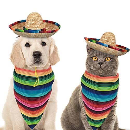 Cinco De Mayo Dog Costume Set - Serape, Sombrero & Bandana