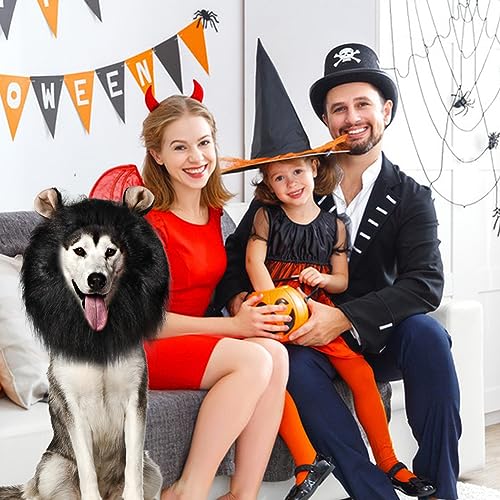 Adjustable Black Lion Mane Dog Costume - Halloween