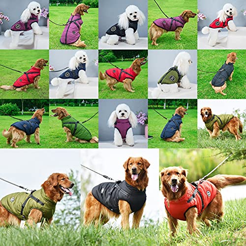 Waterproof Dog Winter Jacket with Harness for Small Dogs