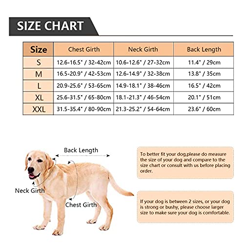 Black Dog Tuxedo Suit - Formal Wedding Apparel