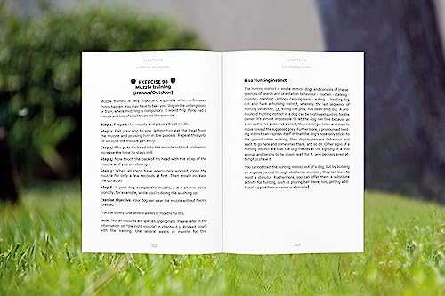 Dog Training: Impulse Control and Frustration Tolerance Games