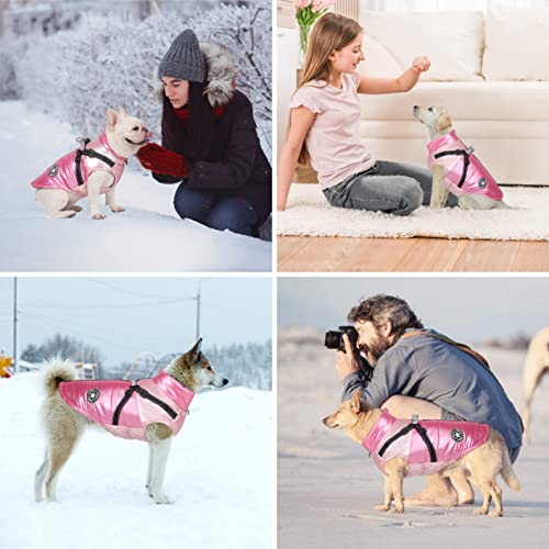 Winter Dog Coat Waterproof Puppy Jacket for Small/Medium Dogs