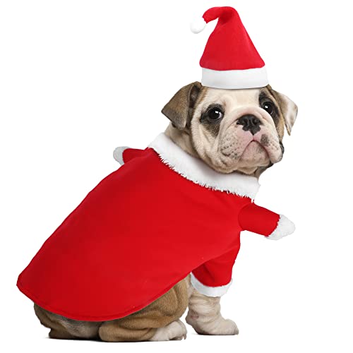 Christmas Costume for Dogs and Cats