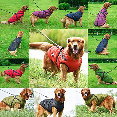 Waterproof Dog Winter Jacket with Harness for Small Dogs